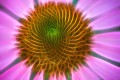 Flower Weave