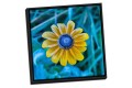 Canvas Float Frame