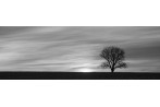 Shades of Grey