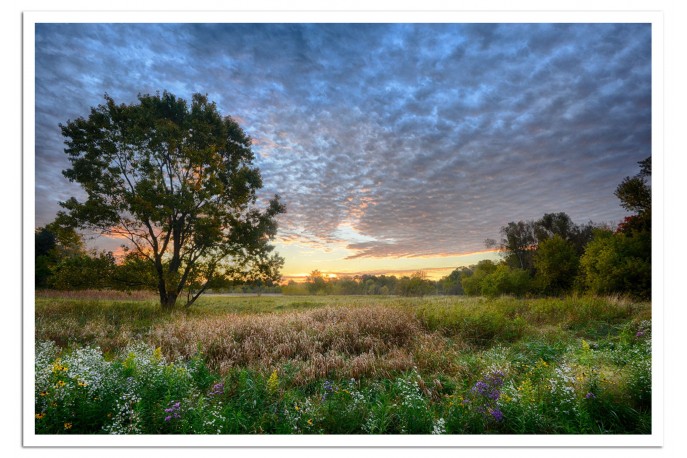 Print Only (unframed)