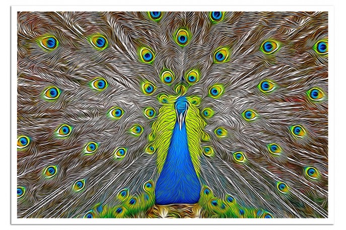 Print Only (unframed)