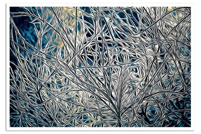 Print Only (unframed)