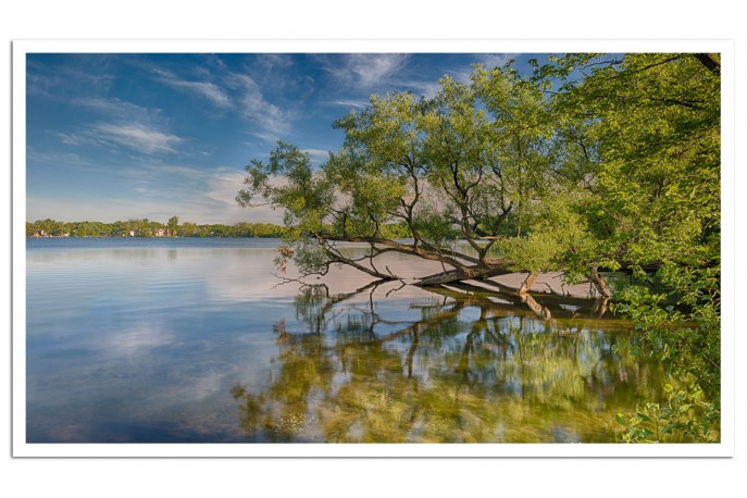 Print Only (unframed)