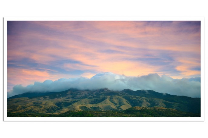 Print Only (unframed)