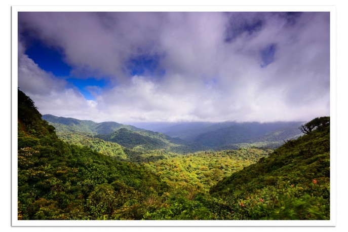 Print Only (unframed)