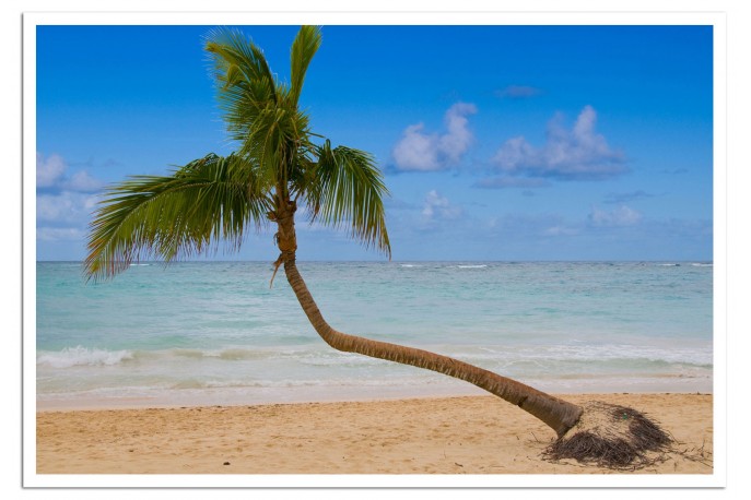 Print Only (unframed)