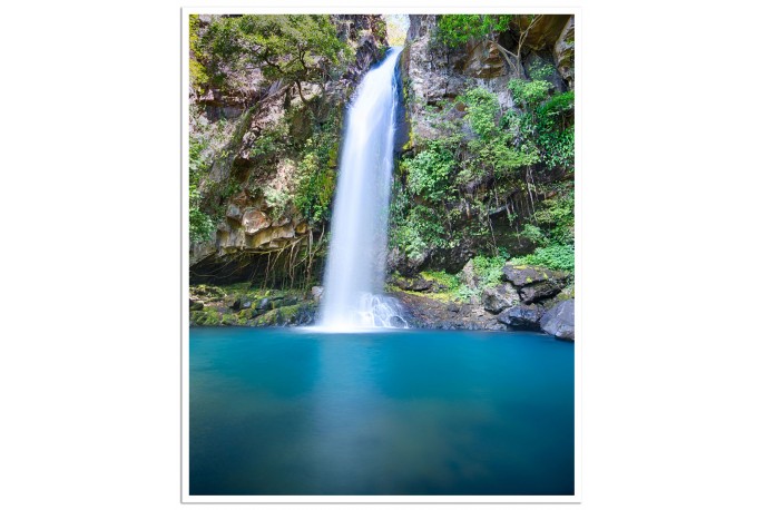 Print Only (unframed)