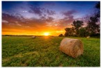 Round Hay Bales