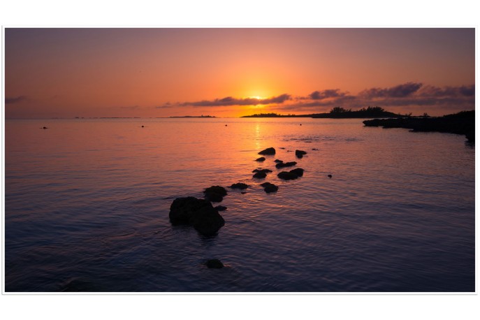 Print Only (Unframed)
