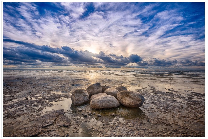 Print Only (Unframed)