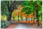 Toogood Walking Path
