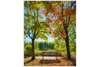 Park it in Fall