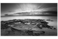 Print Only (Unframed)