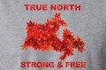 True North Strong and Free T-Shirt