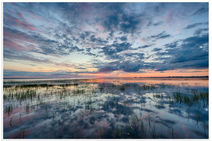 Print Only (Unframed)