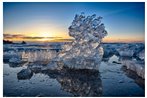 Ice Sculpture
