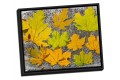 Canvas Float Frame