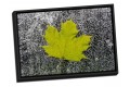 Canvas Float Frame