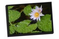 Canvas Float Frame