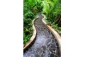 Garden Path