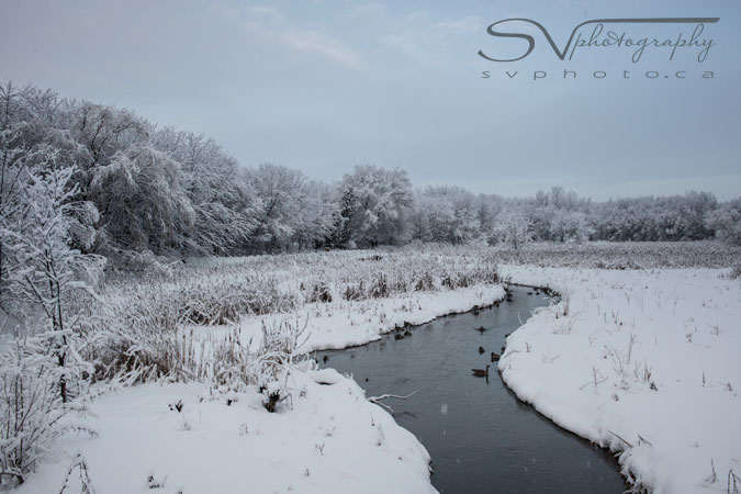 river-in-snowy-winter