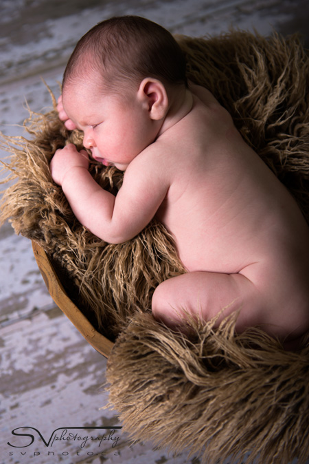 picture of newborn baby in basket with faux fur