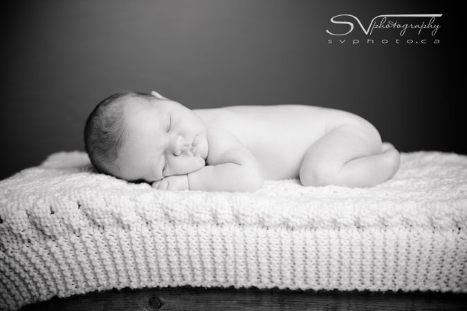 portrait of peaceful newborn sleeping on blanket