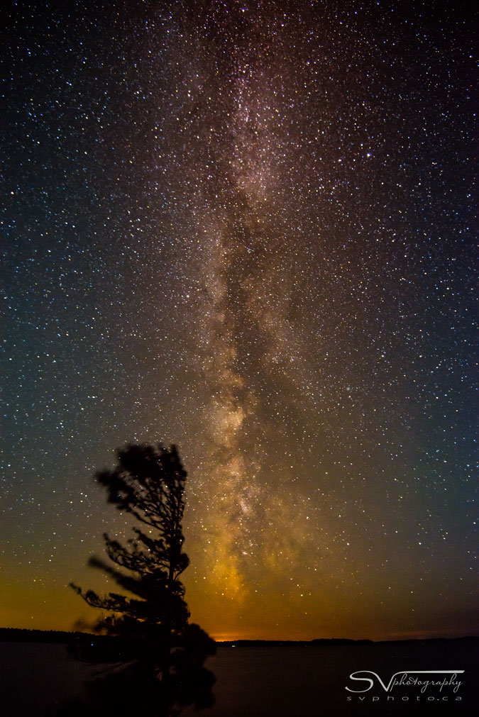 A White Pine and the Milky Way, Killbear Provincial Park Nikon D800 w/ 16-35 f/4 @ 16mm, ISO 100, 31 sec at f/4