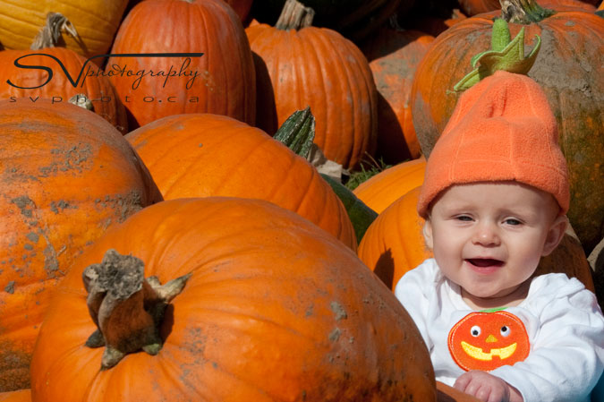 baby-at-pumpkin-patch
