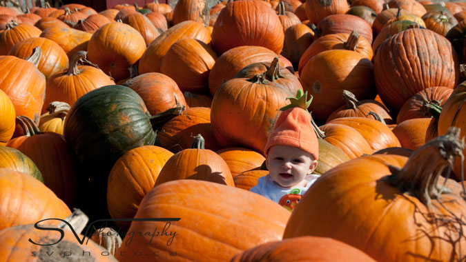 baby-in-pumpkin-patch