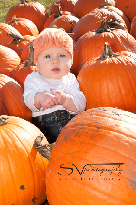baby-with-many-pumpkins