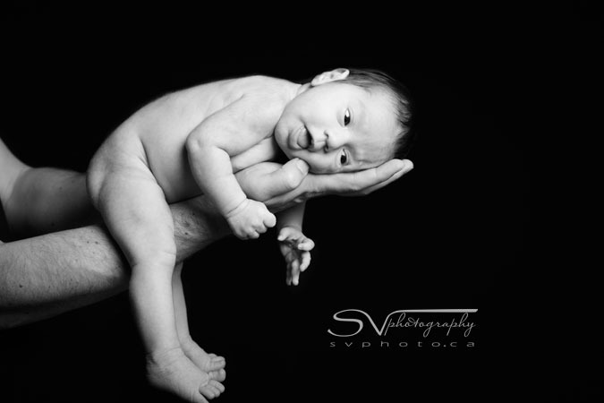 limbs a dangling newborn baby portrait photography