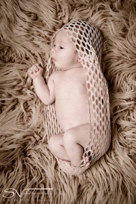 newborn baby in cocoon