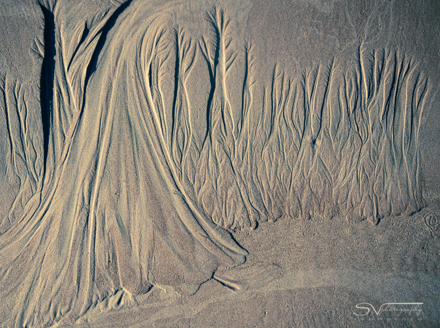trees in sand with waterfall