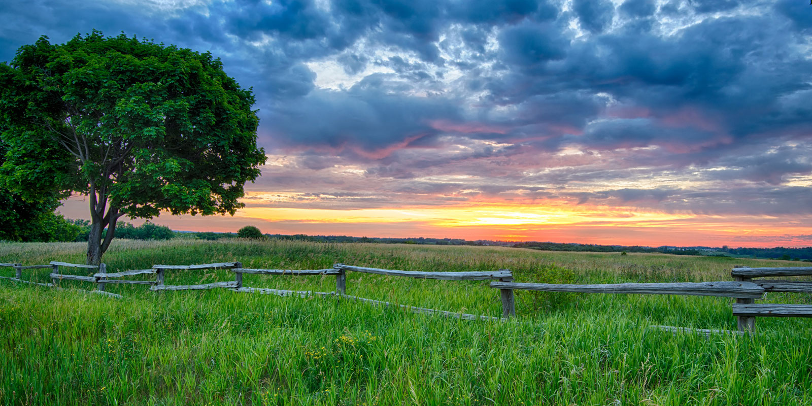 sunrise tree and fence rural ontario landscape photography