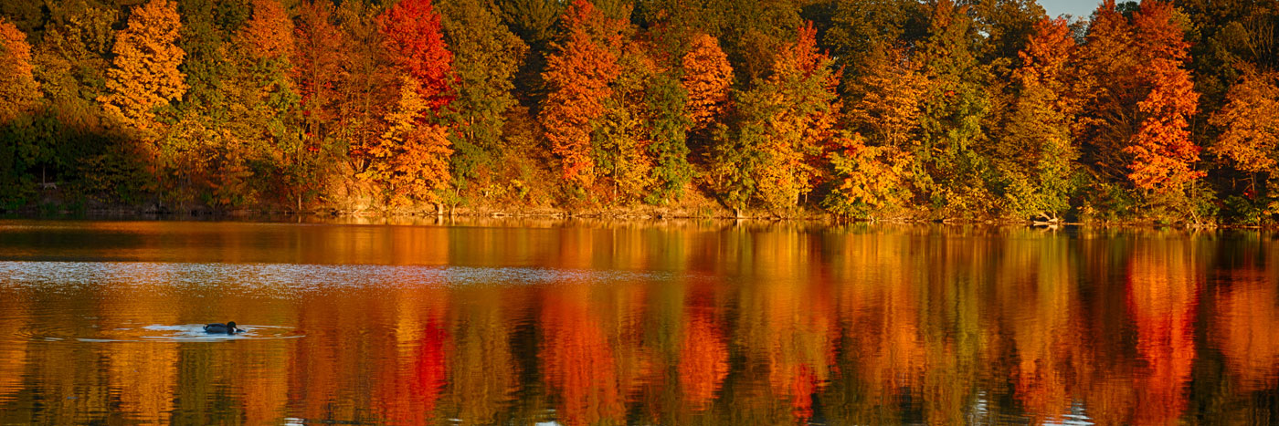 fall foliage in milne dam conservation park