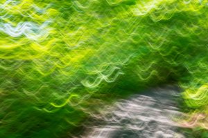 streaks of green leaves impressionist
