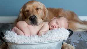 markham newborn baby and dog napping